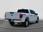 2023 F-150 Thumbnail 5