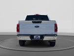 2023 F-150 Thumbnail 6