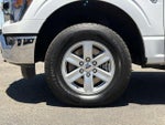 2023 F-150 Thumbnail 28