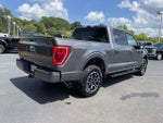 2023 F-150 Thumbnail 6