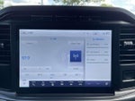 2023 F-150 Thumbnail 19