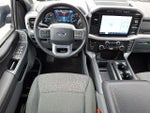 2023 F-150 Thumbnail 11