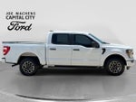 2023 F-150 Thumbnail 3