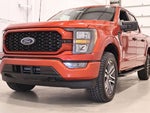 2023 F-150 Thumbnail 6