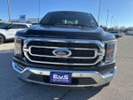 2023 F-150 Thumbnail 8