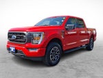 2023 F-150 Thumbnail 3