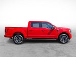 2023 F-150 Thumbnail 7