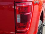 2023 F-150 Thumbnail 10
