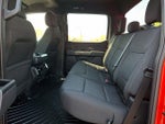 2023 F-150 Thumbnail 11