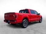 2023 F-150 Thumbnail 6
