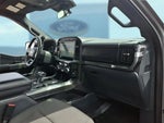 2023 F-150 Thumbnail 7