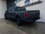 2023 F-150 Thumbnail 5