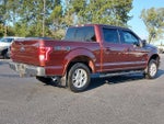 2015 F-150 Thumbnail 4