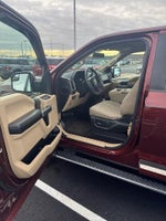 2015 F-150 Thumbnail 4