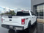 2017 F-150 Thumbnail 5