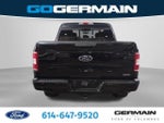 2019 F-150 Thumbnail 10