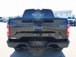 2019 F-150 Thumbnail 16