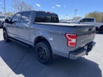 2019 F-150 Thumbnail 4