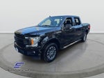 2019 F-150 Thumbnail 1