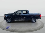 2019 F-150 Thumbnail 2