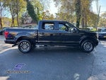 2019 F-150 Thumbnail 5