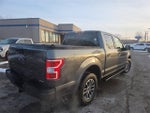 2019 F-150 Thumbnail 5