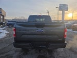 2019 F-150 Thumbnail 6