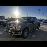 2019 F-150 Thumbnail 4