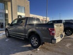 2019 F-150 Thumbnail 3