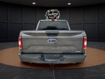 2019 F-150 Thumbnail 8