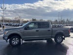 2019 F-150 Thumbnail 7