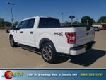 2019 F-150 Thumbnail 5