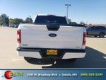 2019 F-150 Thumbnail 6