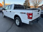 2020 F-150 Thumbnail 3