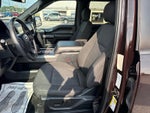 2020 F-150 Thumbnail 4
