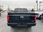 2021 F-150 Thumbnail 13