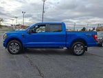 2021 F-150 Thumbnail 4