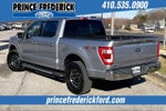2021 F-150 Thumbnail 11
