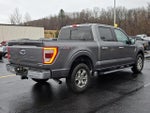 2021 F-150 Thumbnail 6