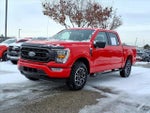 2021 F-150 Thumbnail 1
