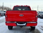2021 F-150 Thumbnail 4