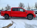 2021 F-150 Thumbnail 5
