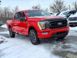 2021 F-150 Thumbnail 6