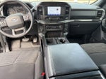 2021 F-150 Thumbnail 11