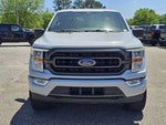 2021 F-150 Thumbnail 2