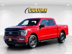 2021 F-150 Thumbnail 8