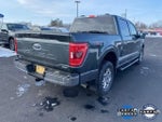 2021 F-150 Thumbnail 3