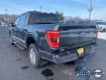2021 F-150 Thumbnail 5