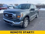 2021 F-150 Thumbnail 7