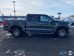2021 F-150 Thumbnail 2